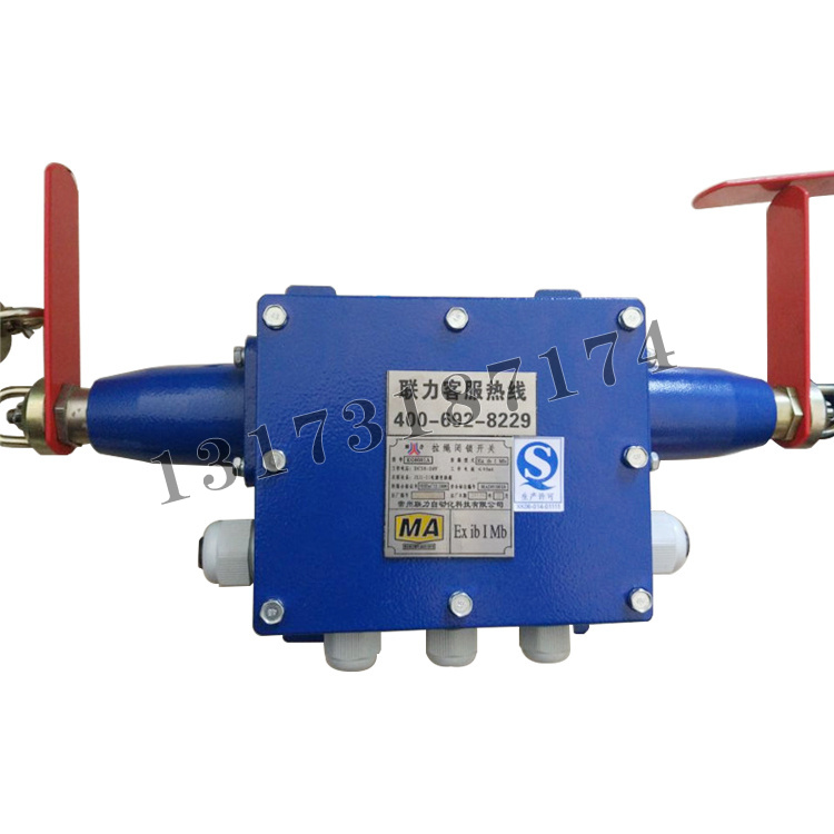 KG9001A-C2拉繩閉鎖開關|常州聯力自動化科技有限公司