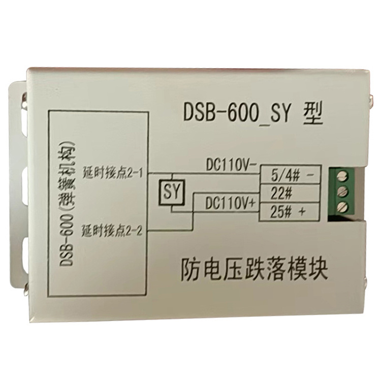 DSB-600_SY型防電壓跌落模塊-電光防爆科技股份有限公司