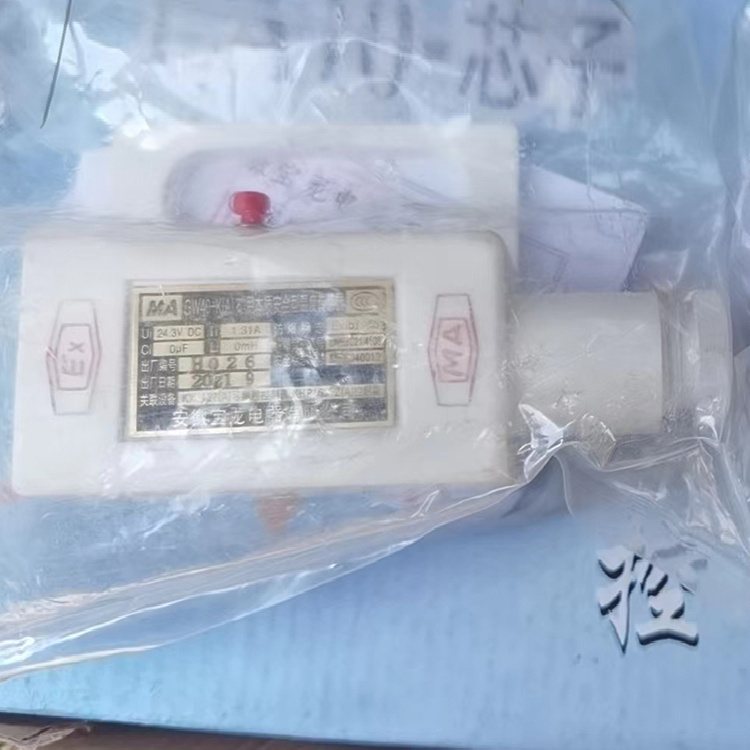 GW40-K(A)礦用本質安全型溫度傳感器-安徽寶龍電器有限公司